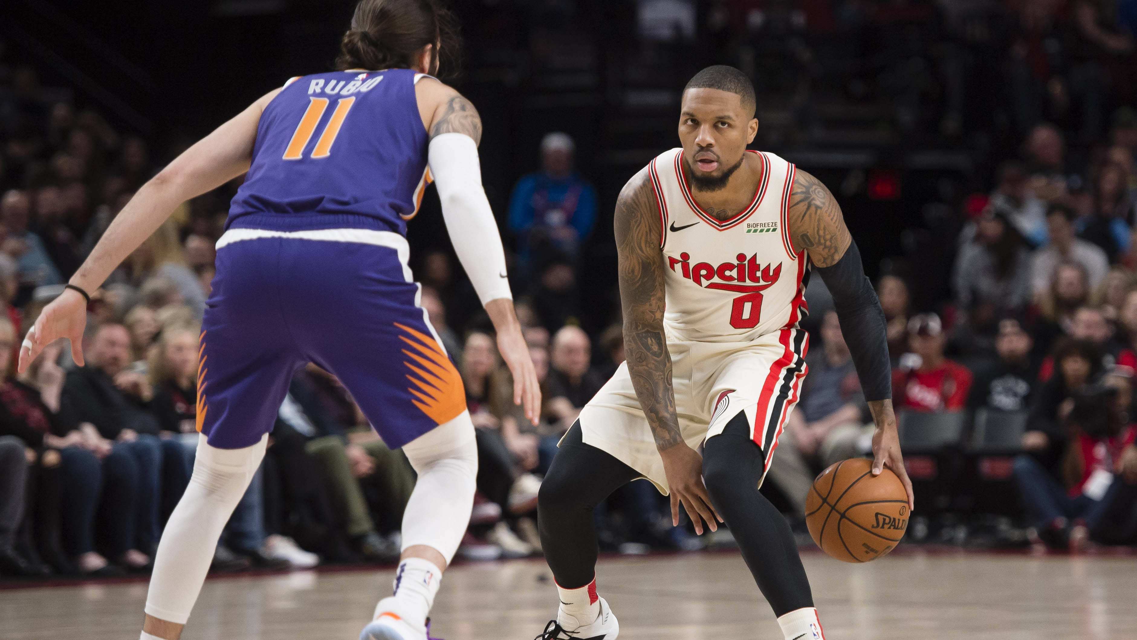 这11座洲 这11座洲