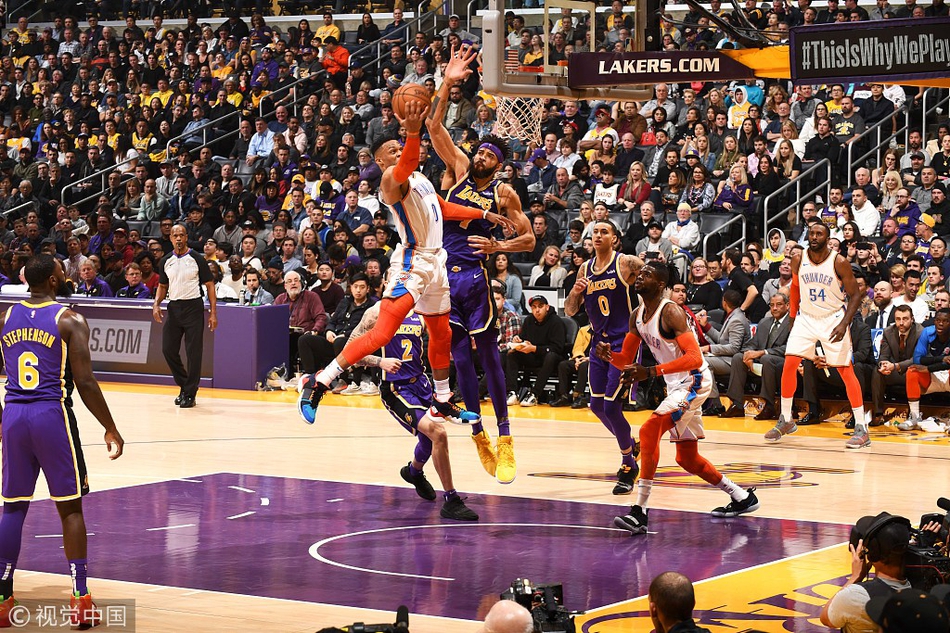 术多样性 术多样性